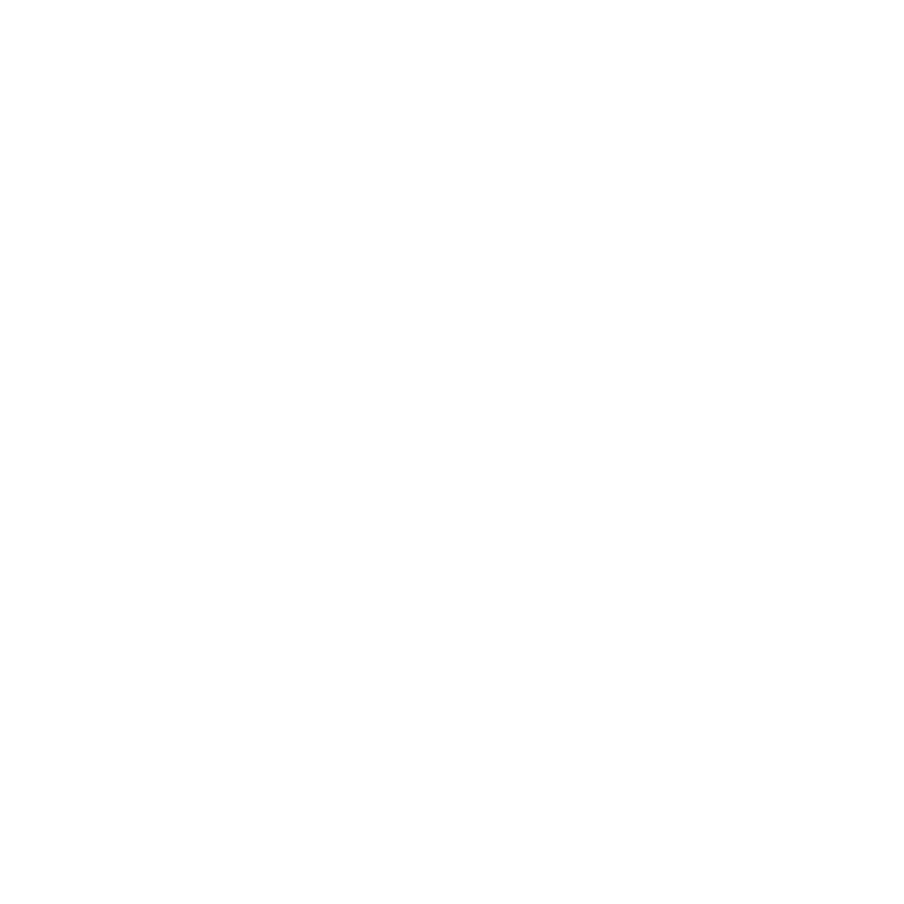REV3