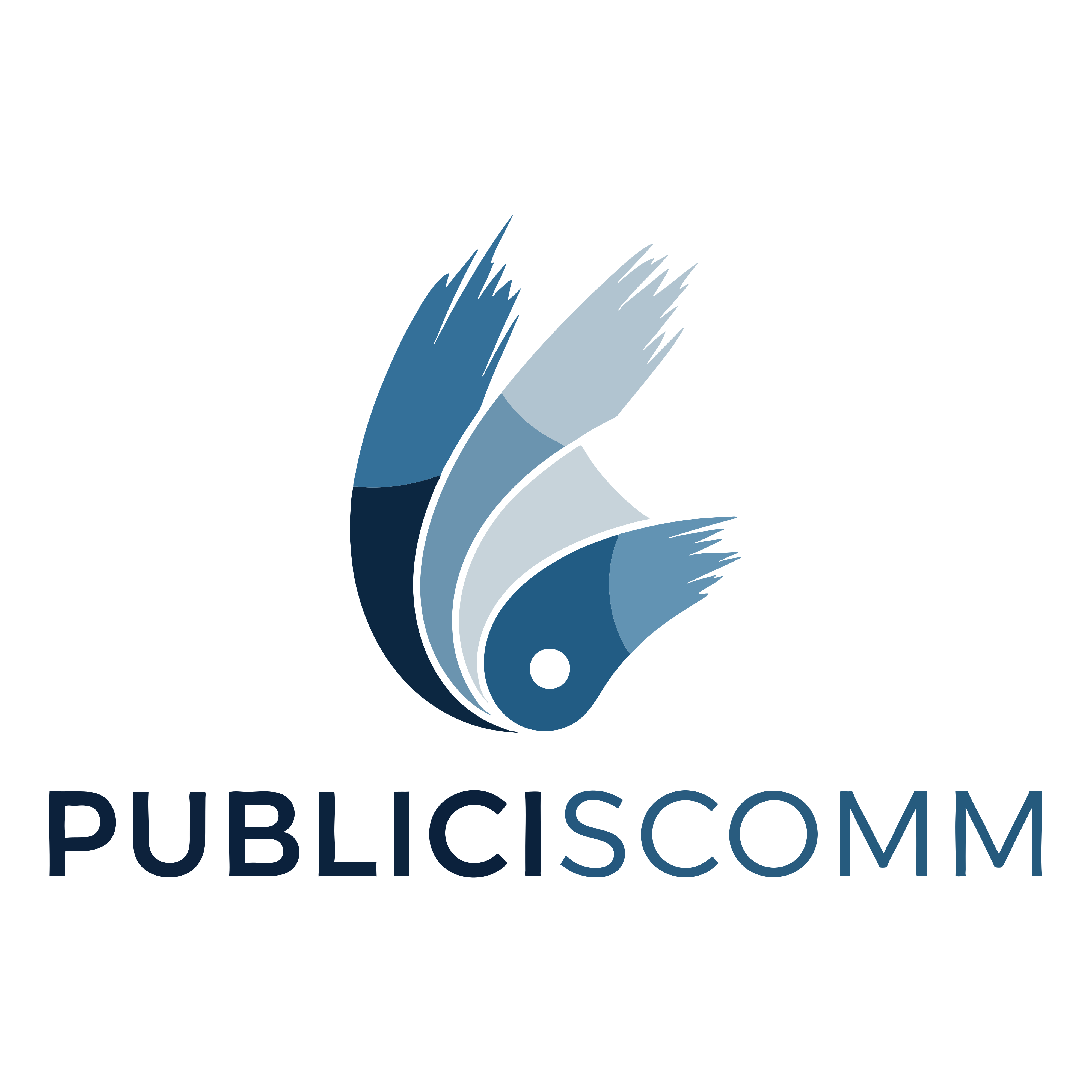 Logo Publicis_Comm