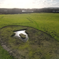 mesure compensatoire