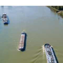 AAP Report modal VNF